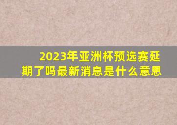 2023年亚洲杯预选赛延期了吗最新消息是什么意思