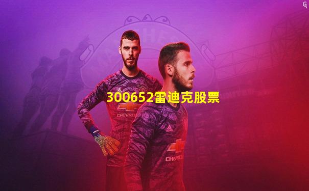 300652雷迪克股票