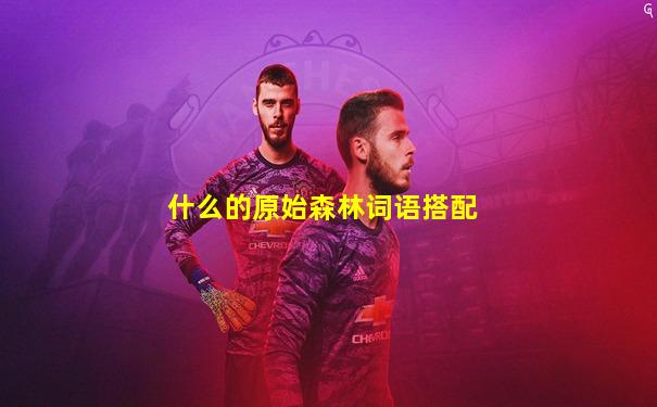 什么的原始森林词语搭配