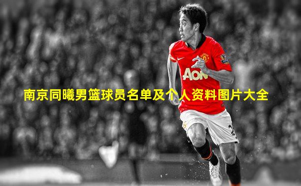 南京同曦男篮球员名单及个人资料图片大全