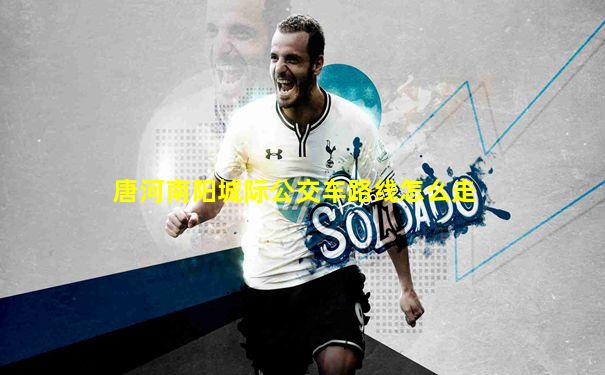 唐河南阳城际公交车路线怎么走