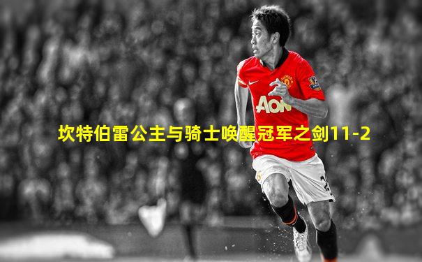 坎特伯雷公主与骑士唤醒冠军之剑11-2