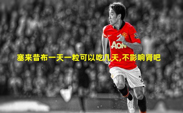 塞来昔布一天一粒可以吃几天,不影响肾吧