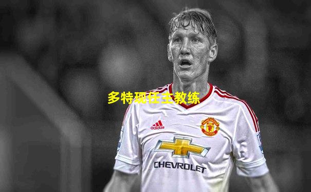 多特现任主教练