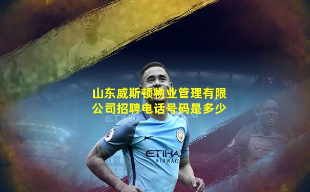 山东威斯顿物业管理有限公司招聘电话号码是多少