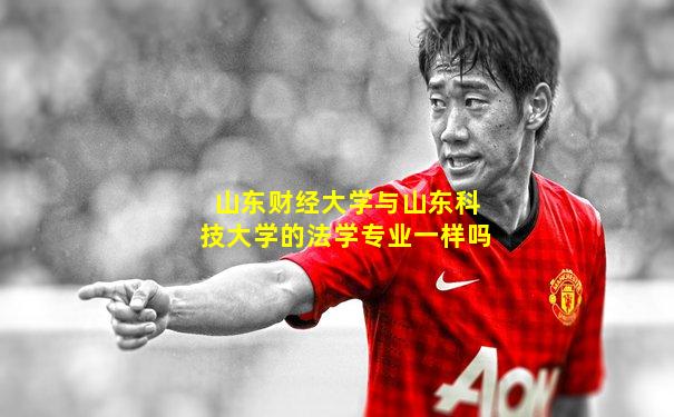 山东财经大学与山东科技大学的法学专业一样吗