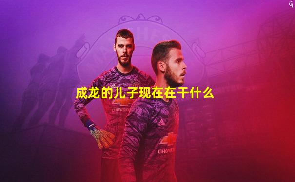 成龙的儿子现在在干什么