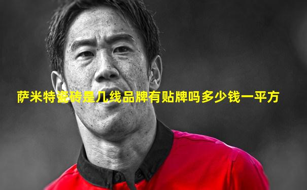 萨米特瓷砖是几线品牌有贴牌吗多少钱一平方