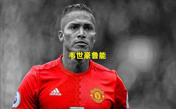 韦世豪鲁能