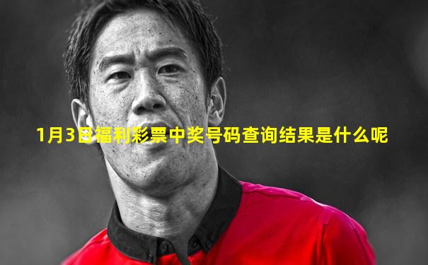 1月3日福利彩票中奖号码查询结果是什么呢