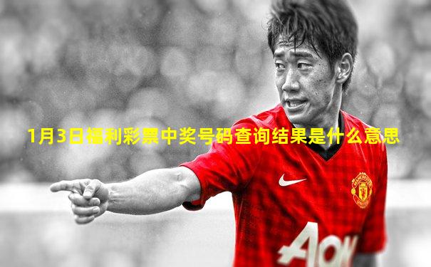 1月3日福利彩票中奖号码查询结果是什么意思