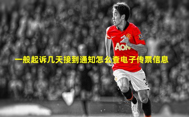 一般起诉几天接到通知怎么查电子传票信息