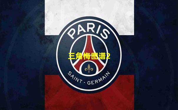 三角梅图谱2