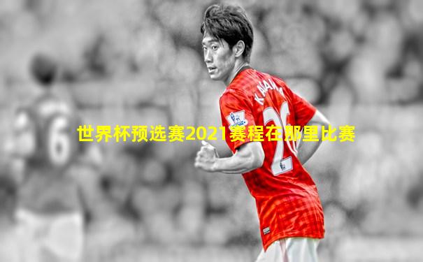 世界杯预选赛2021赛程在那里比赛