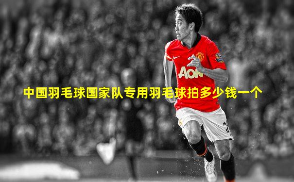中国羽毛球国家队专用羽毛球拍多少钱一个
