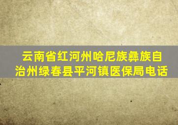 云南省红河州哈尼族彝族自治州绿春县平河镇医保局电话