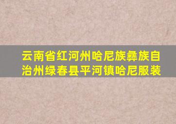 云南省红河州哈尼族彝族自治州绿春县平河镇哈尼服装