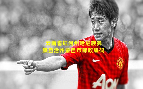云南省红河州哈尼族彝族自治州蒙自市邮政编码