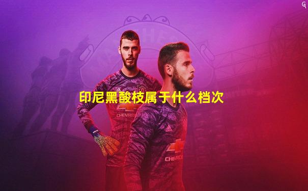 印尼黑酸枝属于什么档次