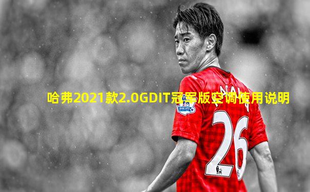 哈弗2021款2.0GDIT冠军版空调使用说明