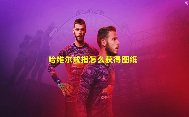 哈维尔戒指怎么获得图纸