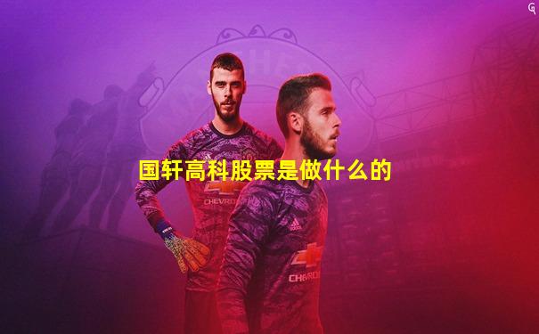 国轩高科股票是做什么的