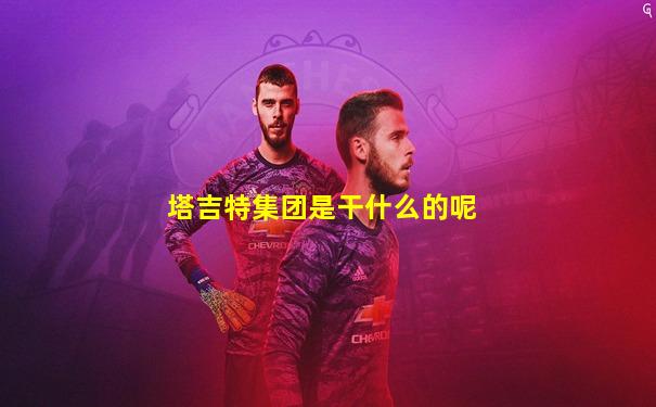 塔吉特集团是干什么的呢