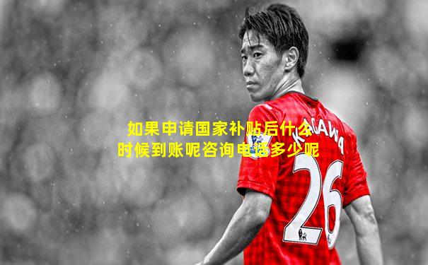 如果申请国家补贴后什么时候到账呢咨询电话多少呢