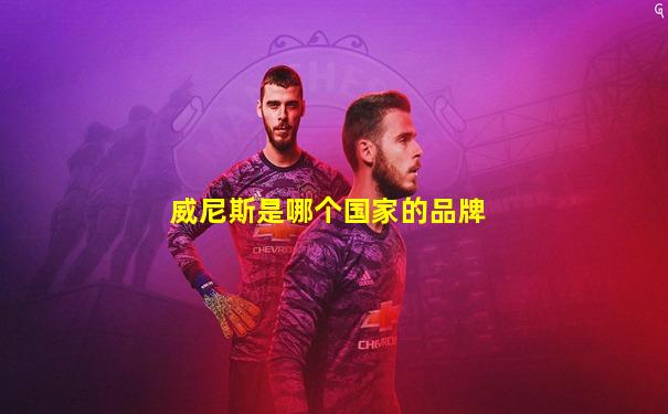 威尼斯是哪个国家的品牌