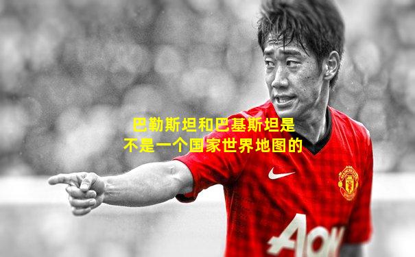 巴勒斯坦和巴基斯坦是不是一个国家世界地图的