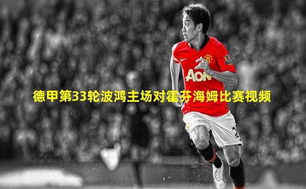 德甲第33轮波鸿主场对霍芬海姆比赛视频