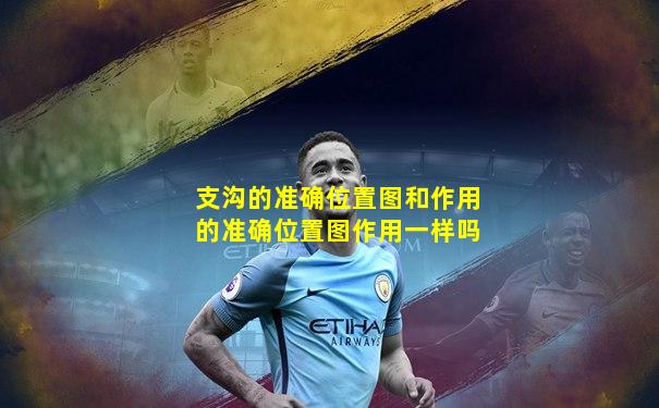 支沟的准确位置图和作用的准确位置图作用一样吗