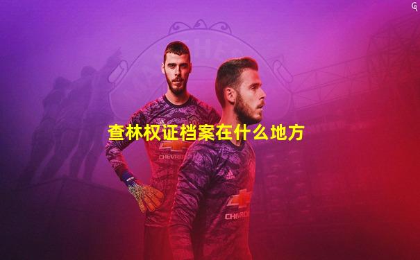 查林权证档案在什么地方