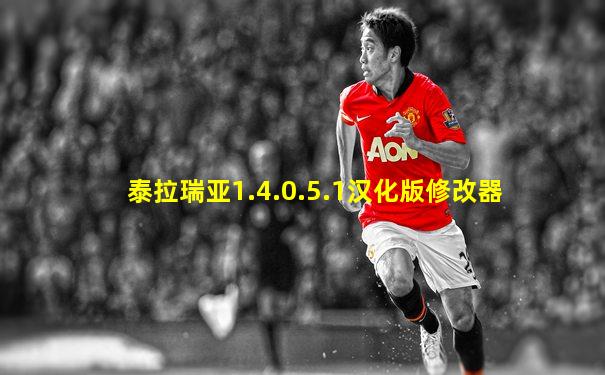 泰拉瑞亚1.4.0.5.1汉化版修改器