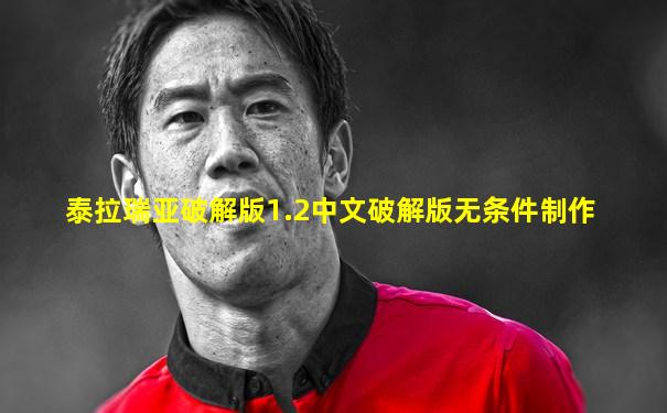 泰拉瑞亚破解版1.2中文破解版无条件制作