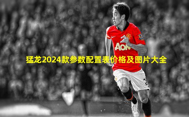 猛龙2024款参数配置表价格及图片大全