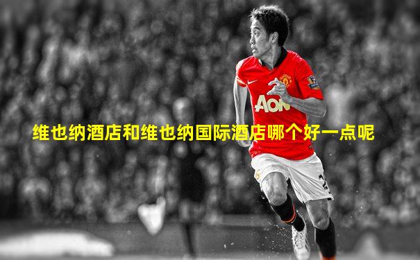 维也纳酒店和维也纳国际酒店哪个好一点呢