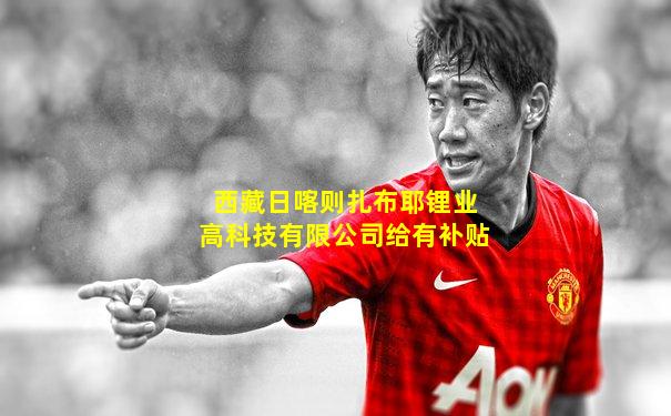 西藏日喀则扎布耶锂业高科技有限公司给有补贴