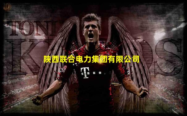 陕西联合电力集团有限公司