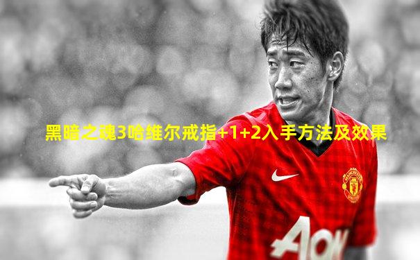 黑暗之魂3哈维尔戒指+1+2入手方法及效果
